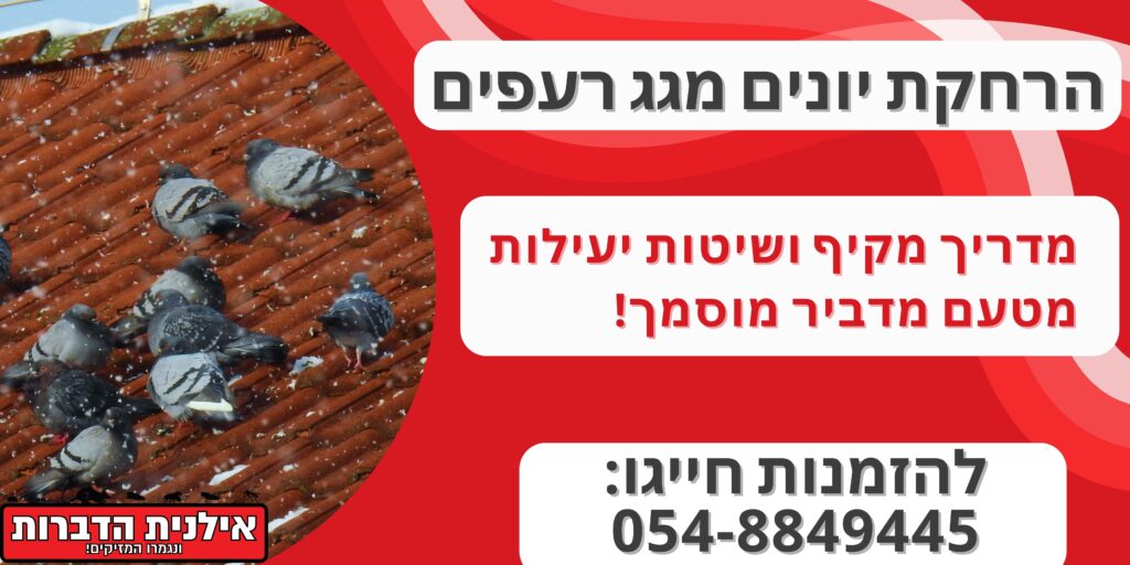 הרחקת יונים מגג רעפים