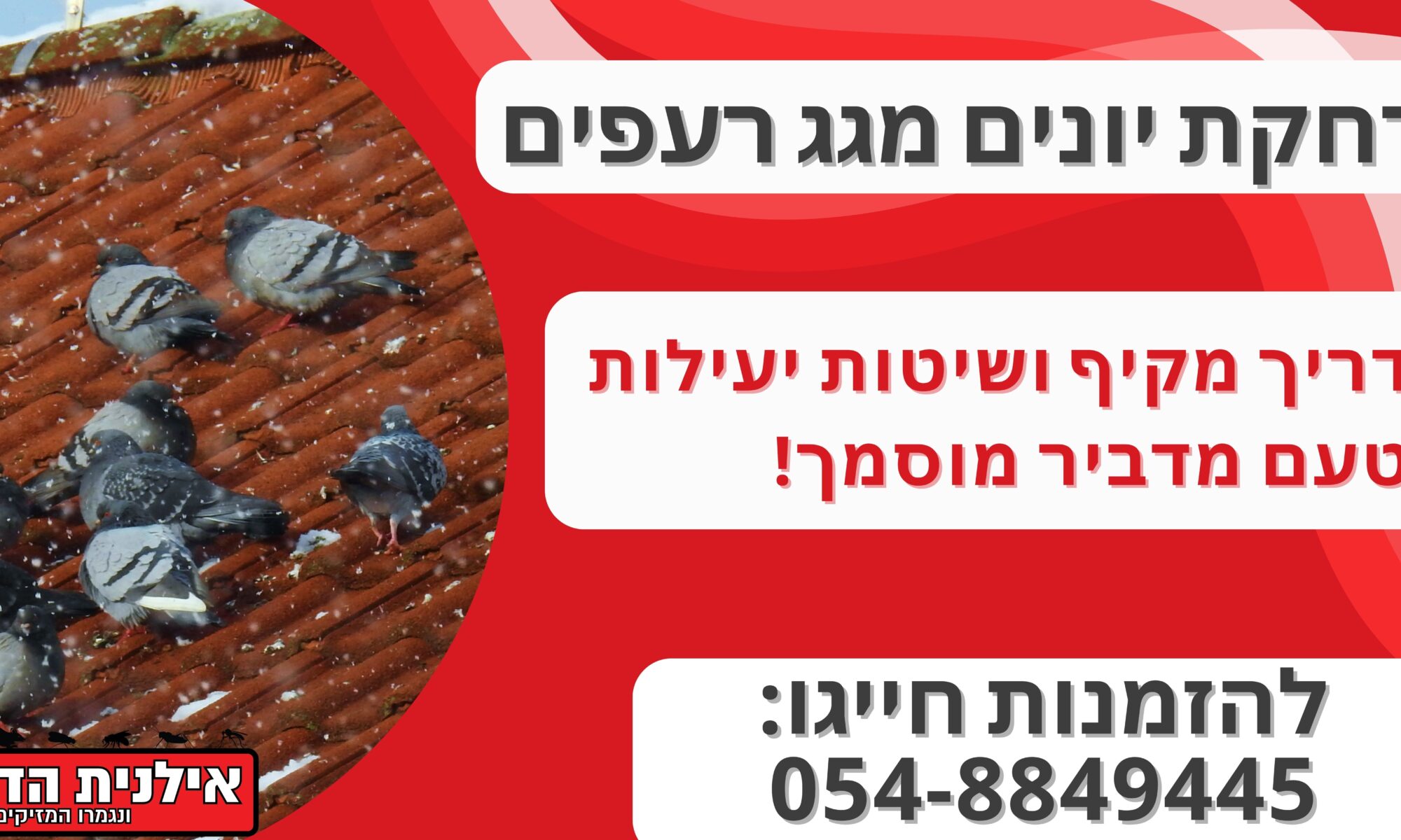 הרחקת יונים מגג רעפים