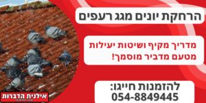 הרחקת יונים מגג רעפים