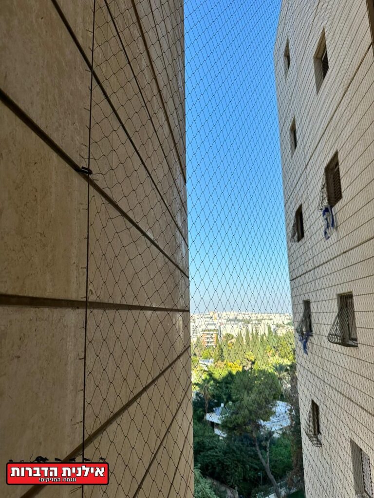 רשת ברזל להרחקת יונים