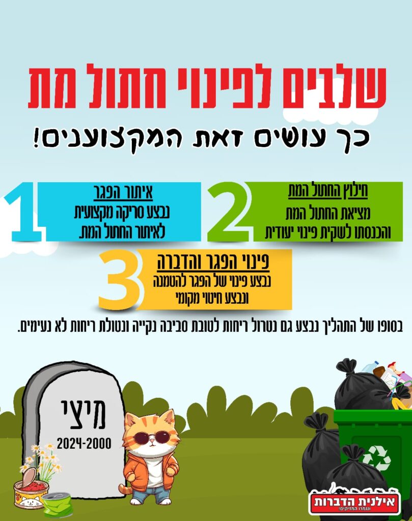 שלבים לפינוי חתול מת