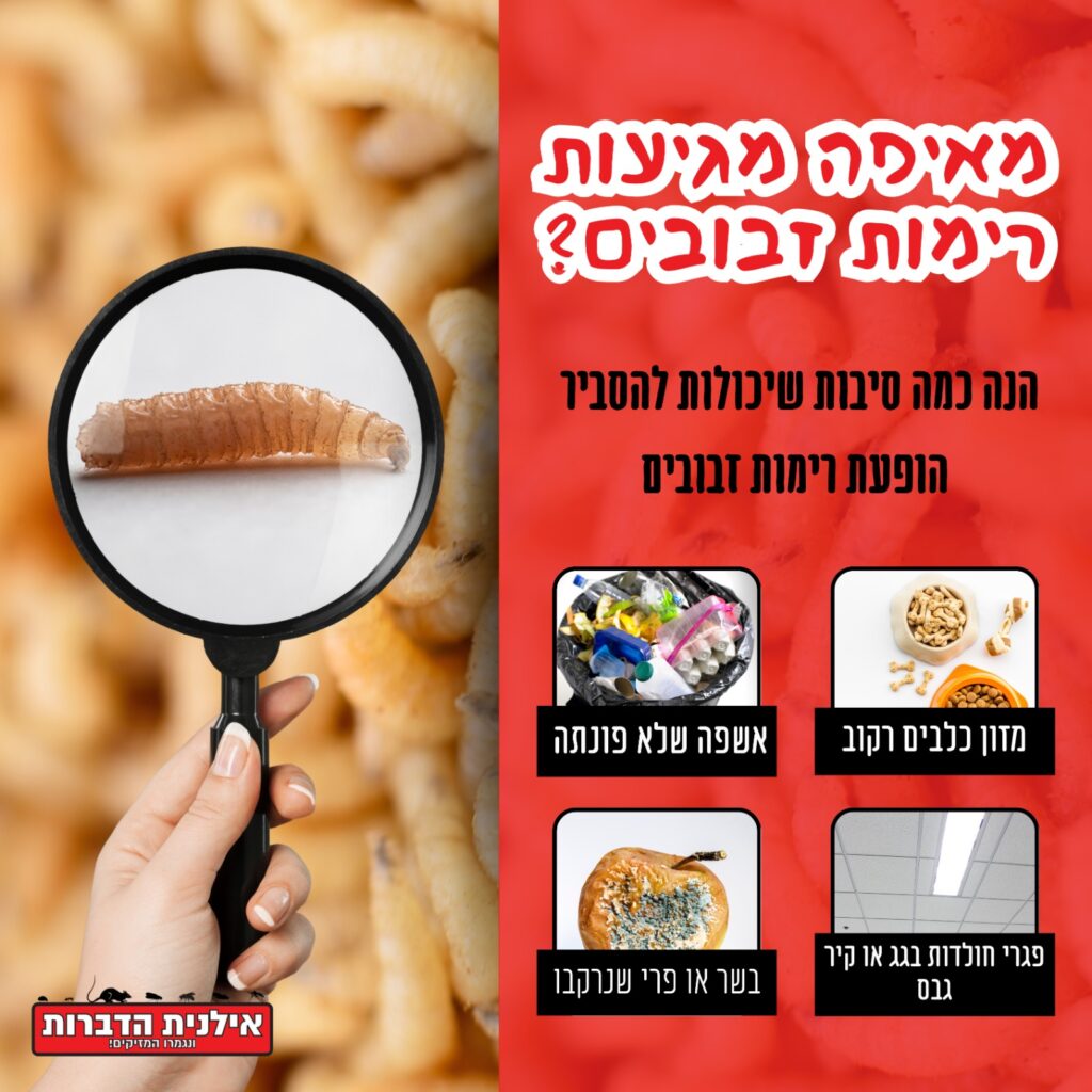 מאיפה מגיעים רימות