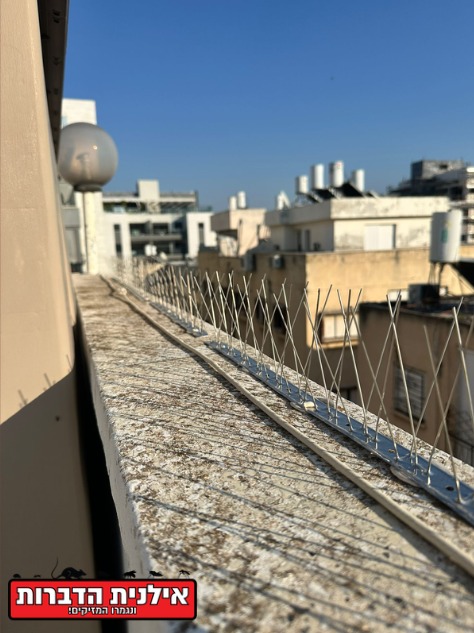 דוקרני נירוסטה נגד יונים