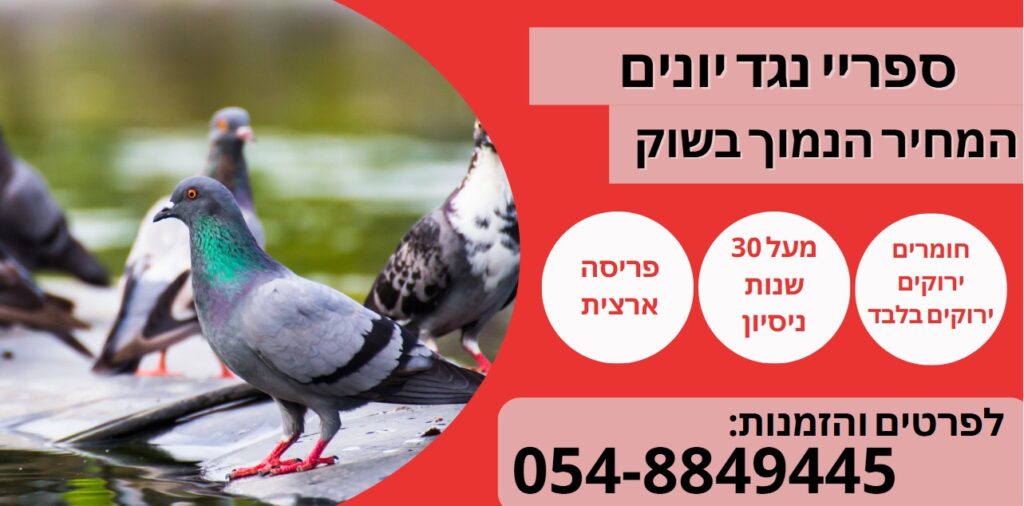 ספריי נגד יונים