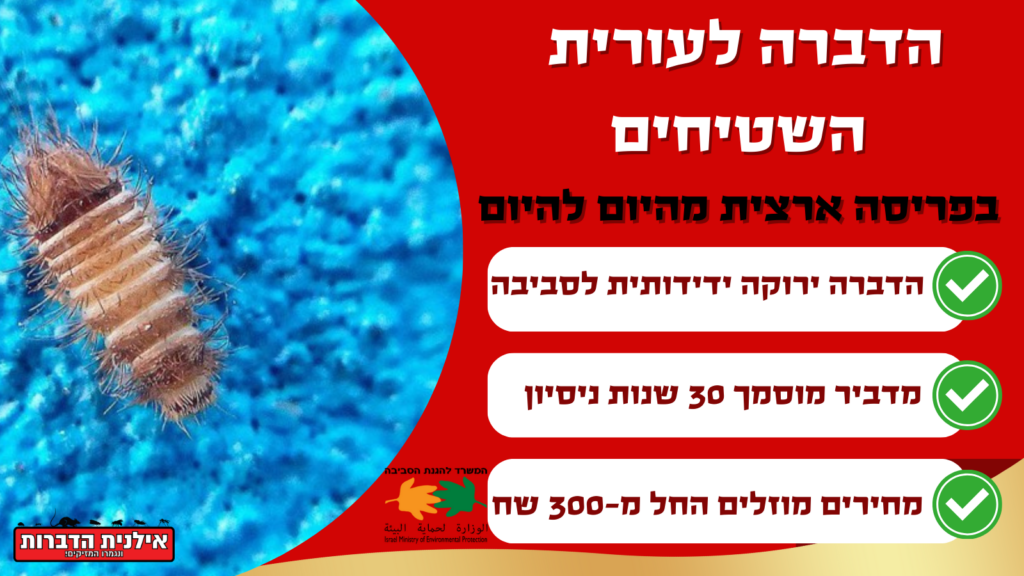 הדברה לעורית השטיחים