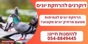 דוקרנים להרחקת יונים לצמיתות