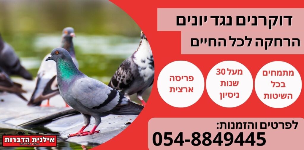 דוקרנים להרחקת יונים