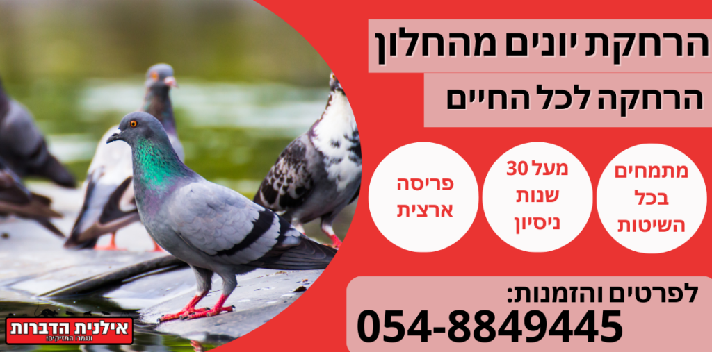 הרחקת יונים מהחלון