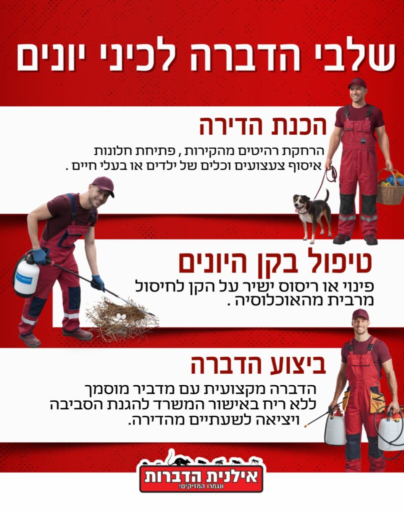 שלבי הדברה לכיני יונים