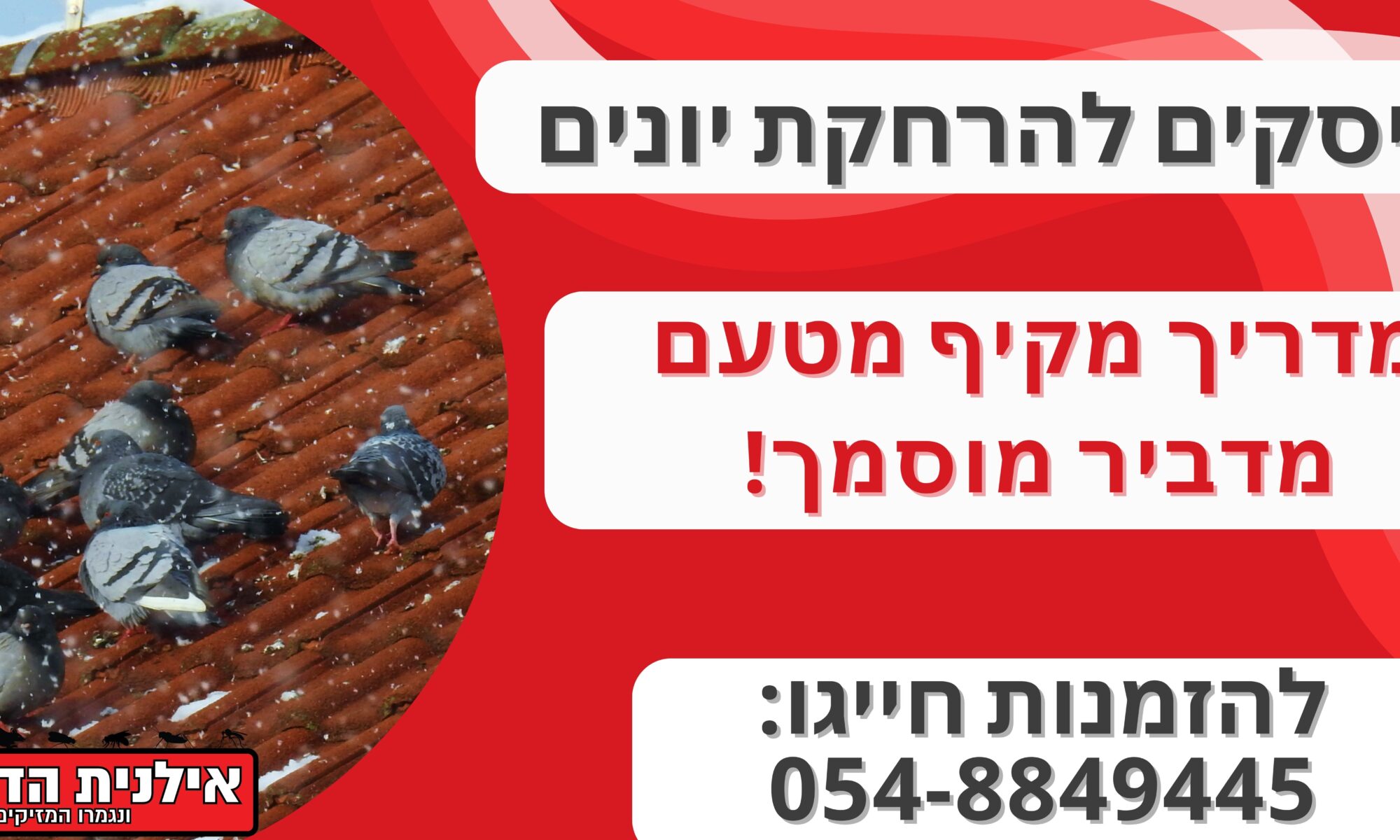 דיסקים להרחקת יונים