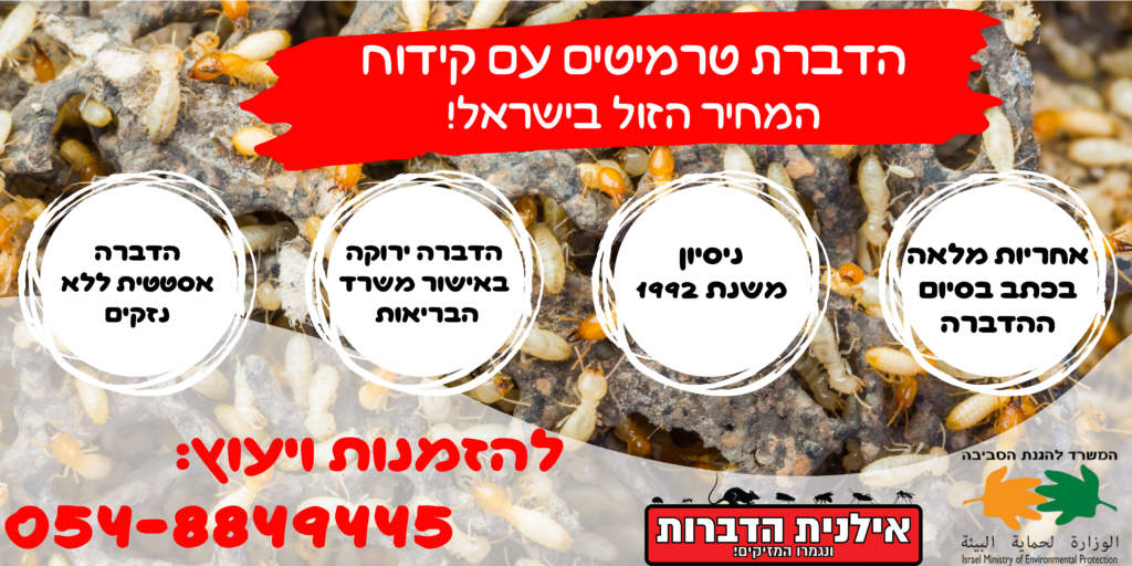 הדברת טרמיטים עם קידוח