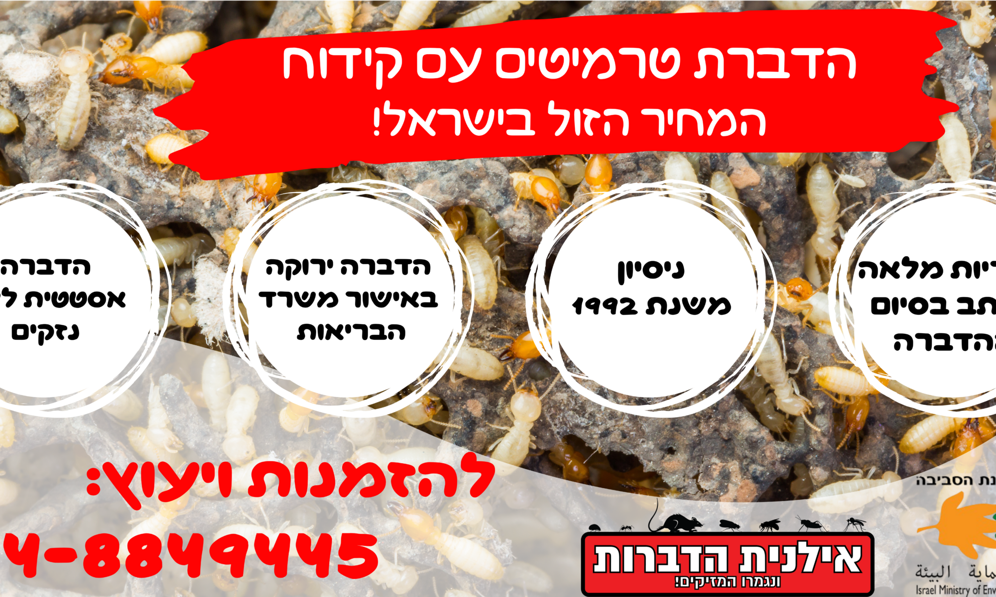 הדברת טרמיטים עם קידוח