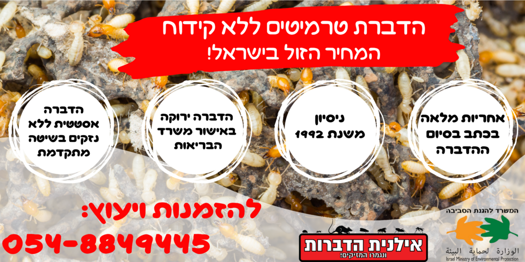 הדברת טרמיטים ללא קידוח