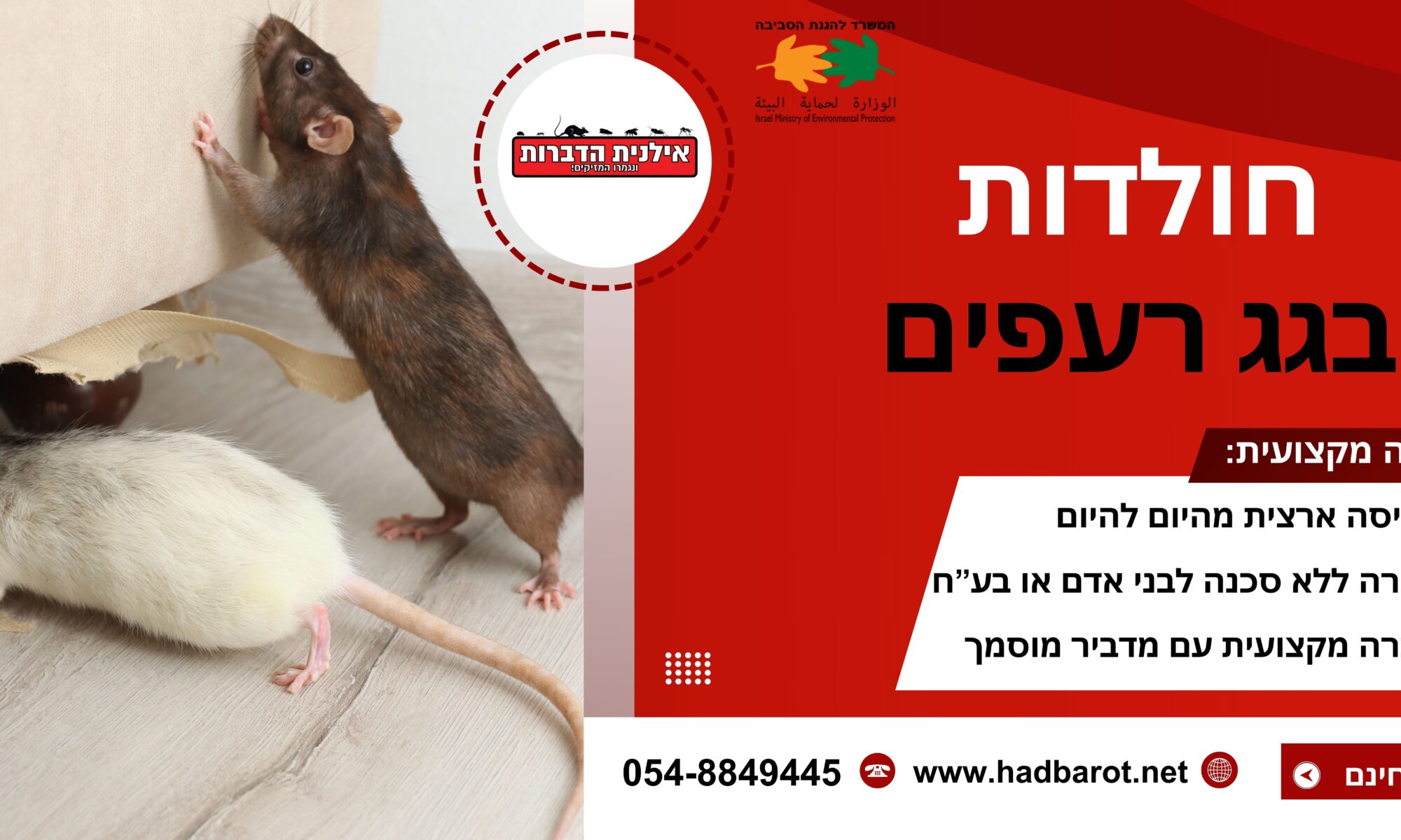 חולדות בגג רעפים