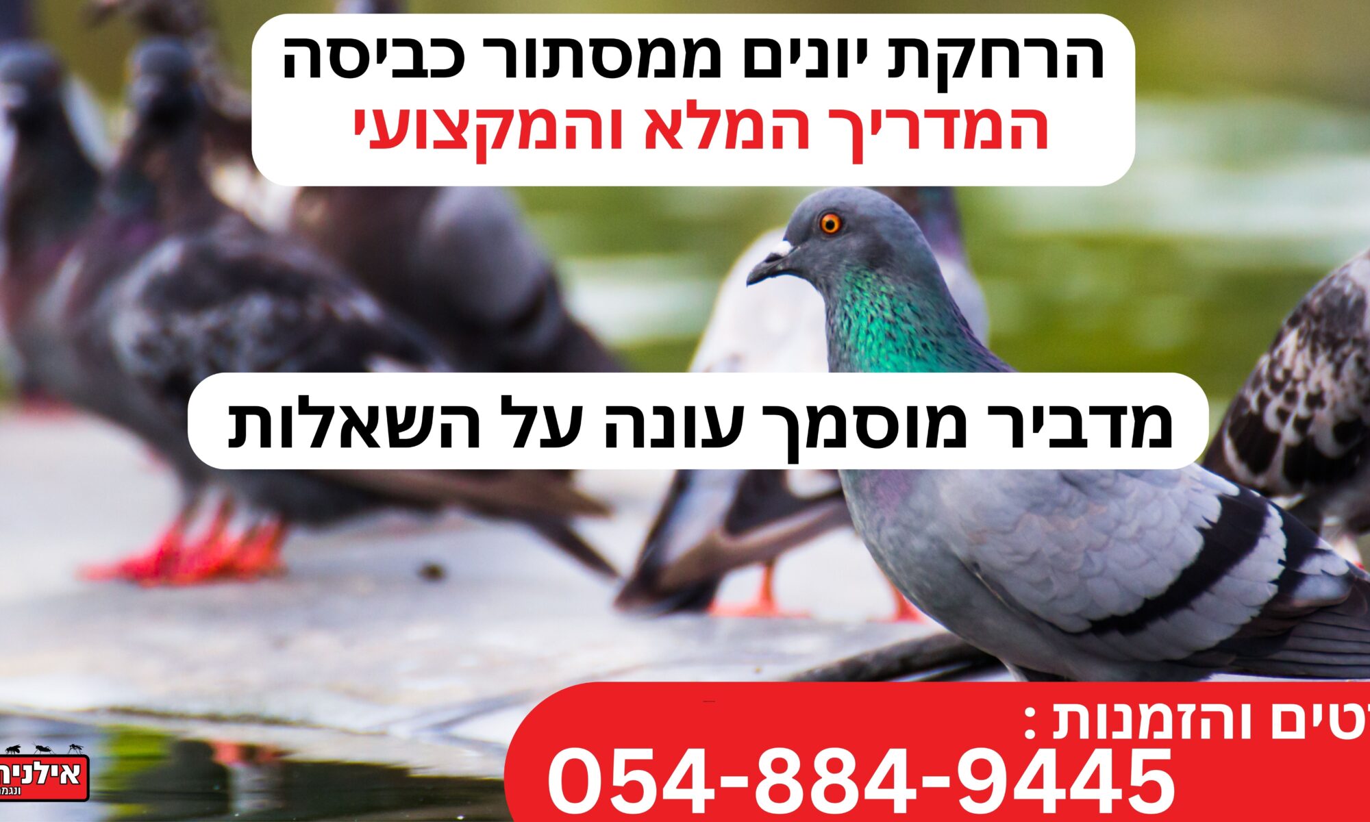 הרחקת יונים ממסתור כביסה