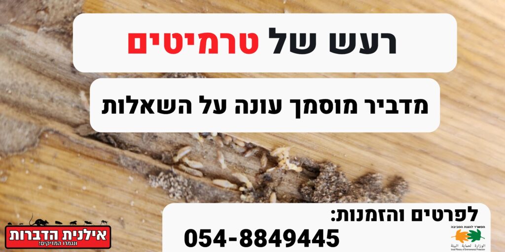 רעש של טרמיטים