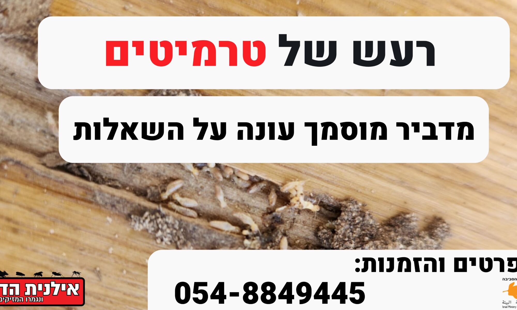 רעש של טרמיטים