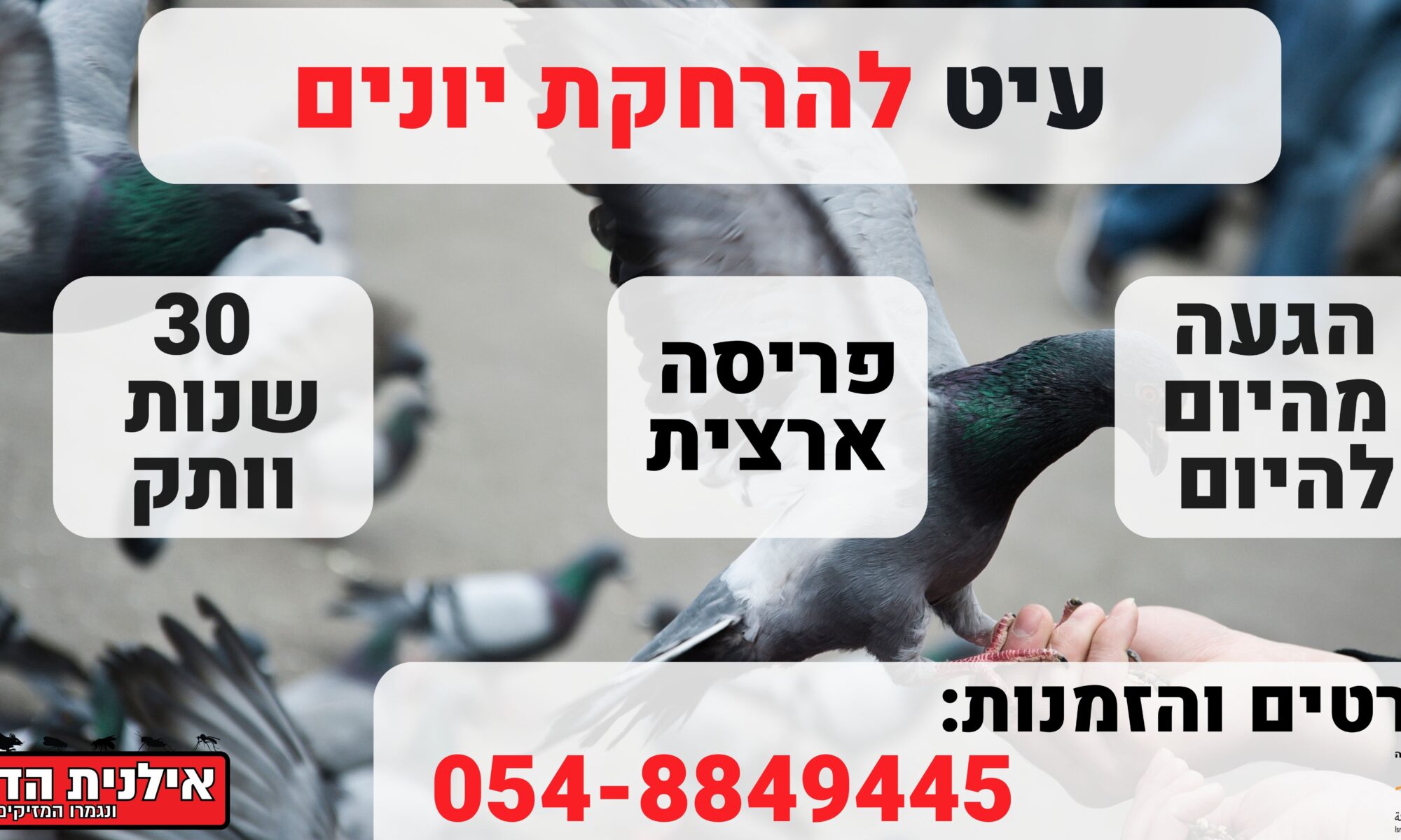 עיט להרחקת יונים