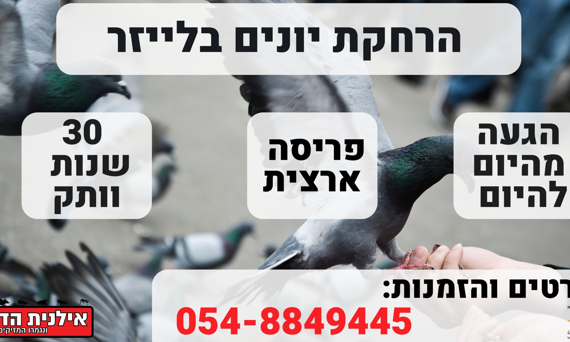 הרחקת יונים בלייזר