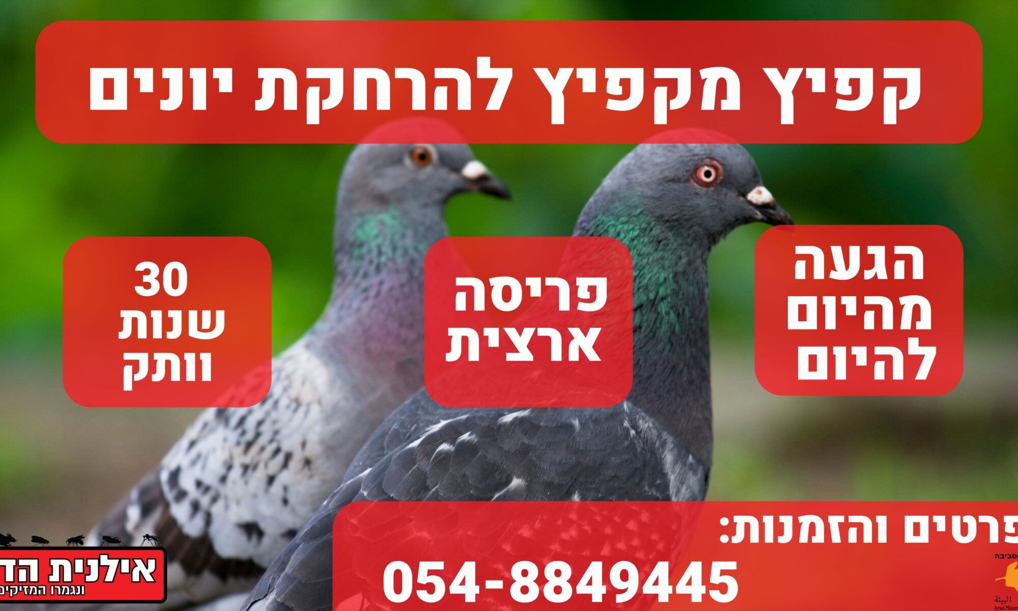 קפיץ מקפיץ להרחקת יונים