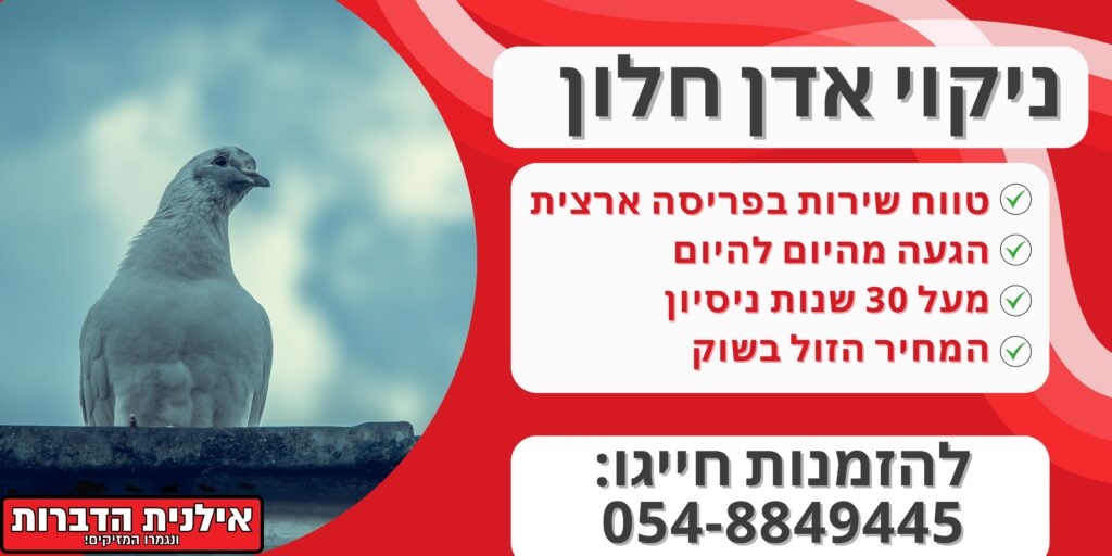ניקוי אדן חלון