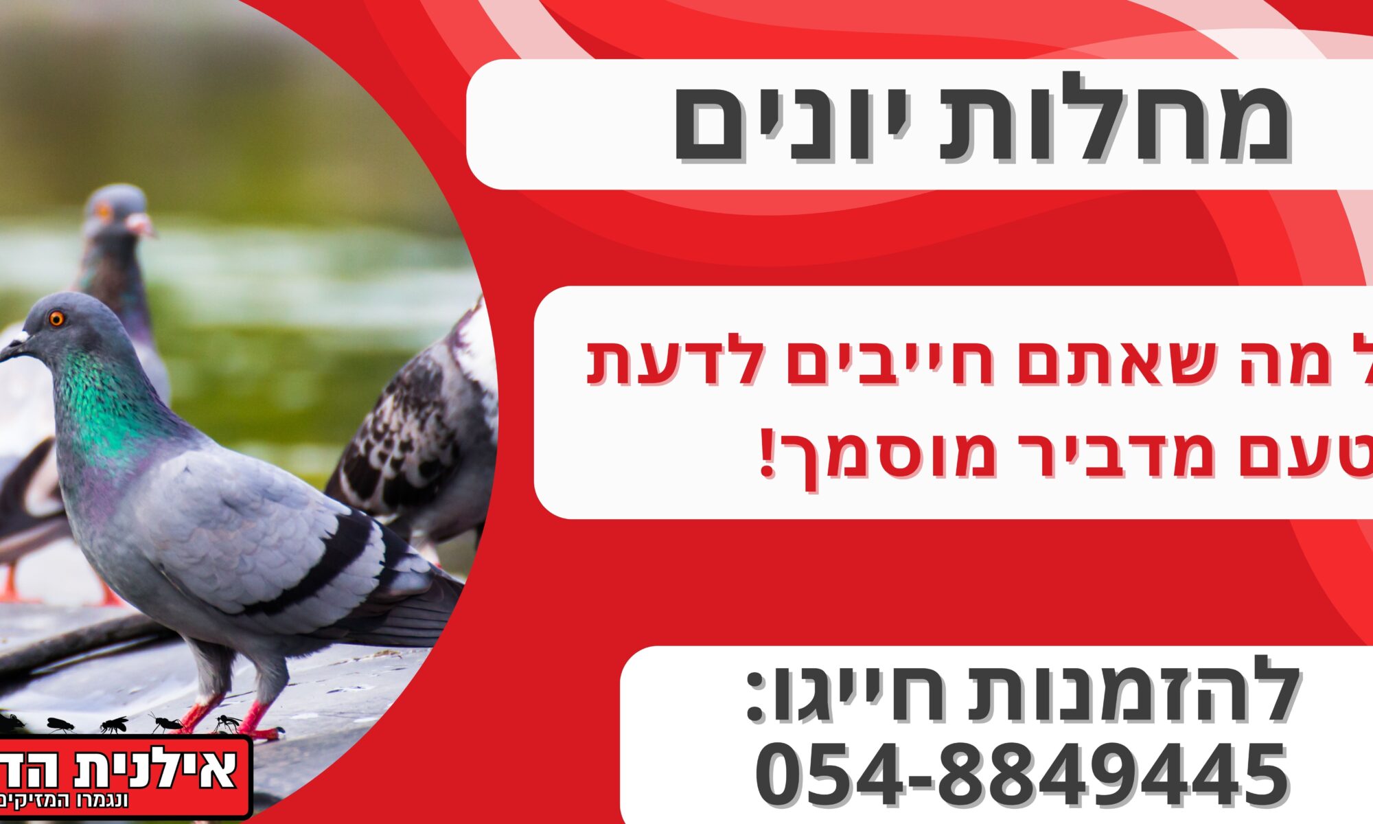 מחלות יונים