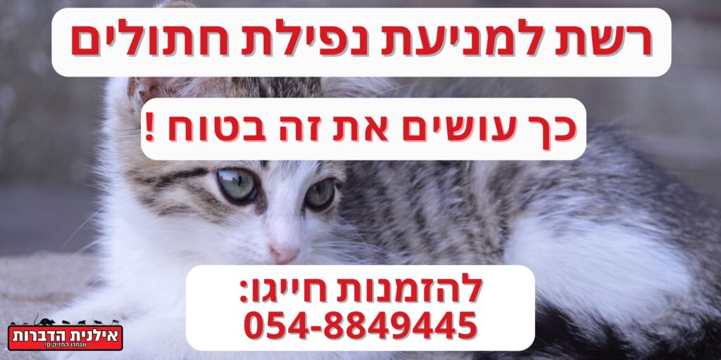 איך מונעים מחתול ליפול מהגג