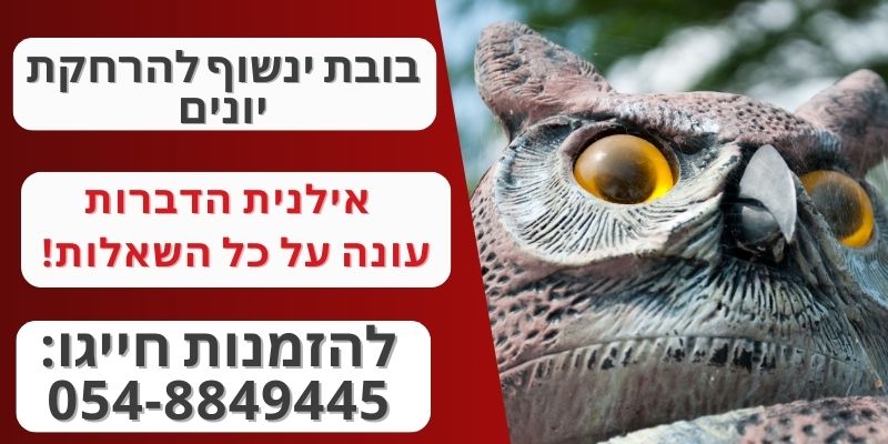 ינשוף להרחקת יונים