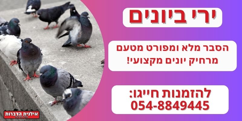 ירי ביונים עם מרחיק יונים מוסמך