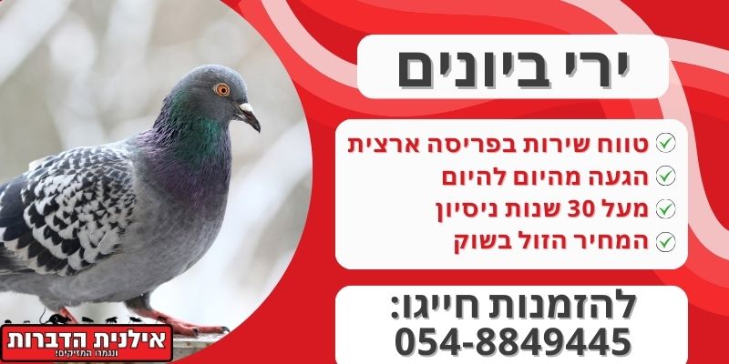 הזמנת יורה ביונים