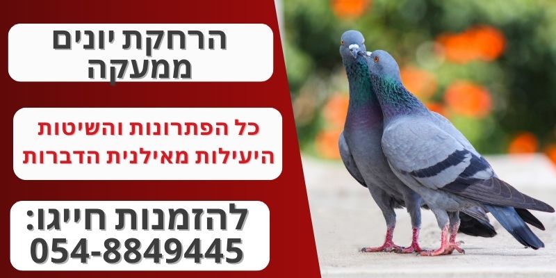 הרחקת יונים ממעקה