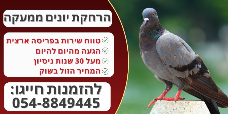 הרחקת יונים מעקה מרפסת