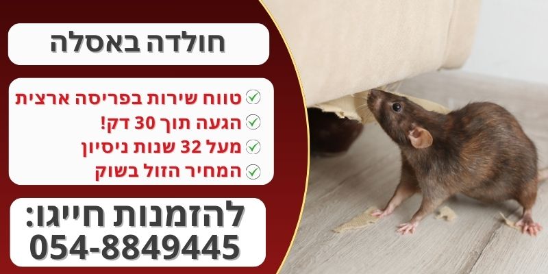 חולדה באסלה