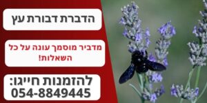 הדברת דבורת עץ