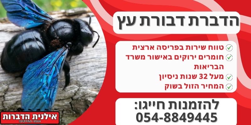 הדברת דבורת עץ
