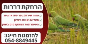 הרחקת דררות