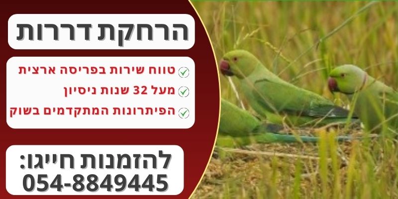 הרחקת דררות