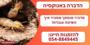 הדברה בעזרת אנוקסיה