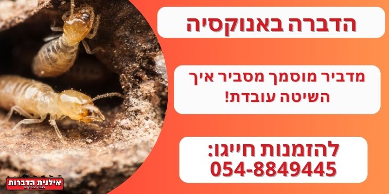 הדברה בעזרת אנוקסיה