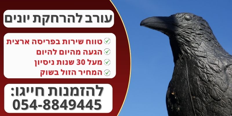 הרחקת יונים עם דחליל עורב