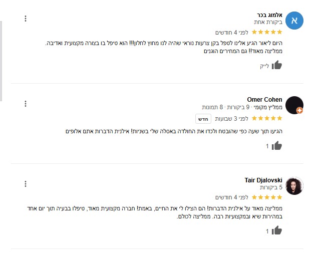 ביקורת