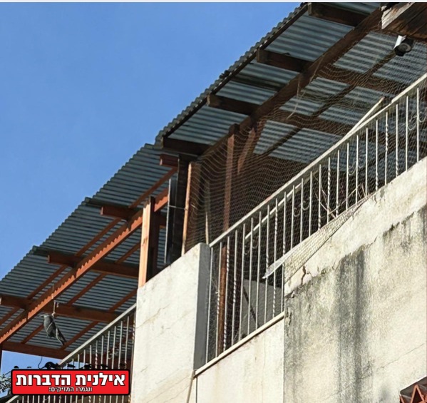 רשת שקופה להרחקת יונים ממרפסת