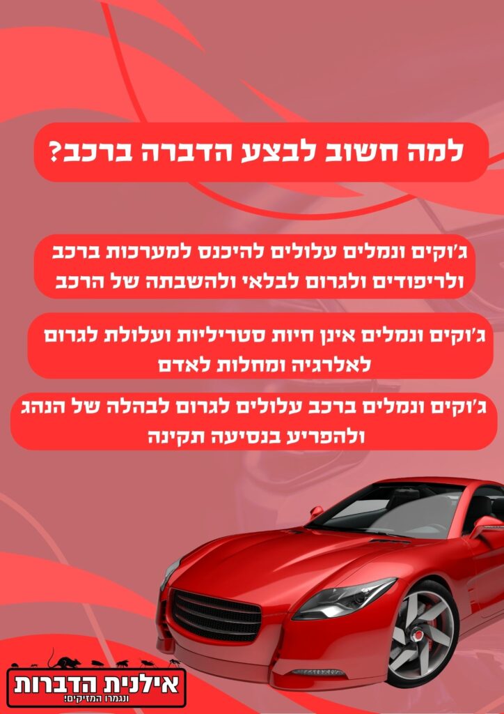 למה חשוב לבצע הדברה ברכב?
