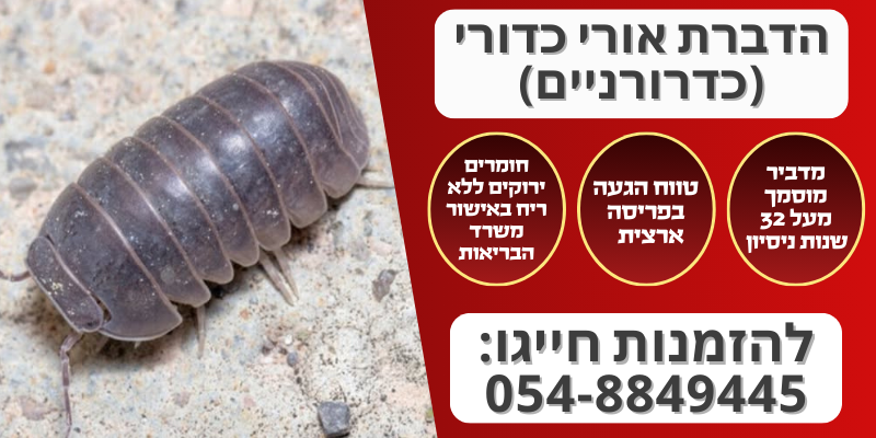 הדברת אורי כדורי (כדרורניים)