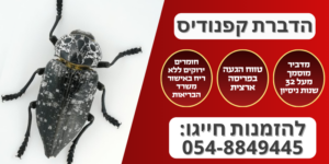 הדברה לקפנודיס