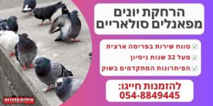 הרחקת יונים מפאנלים סולאריים