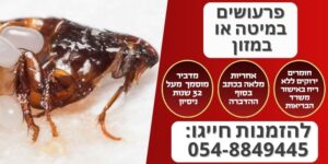פרעושים במיטה או במזון
