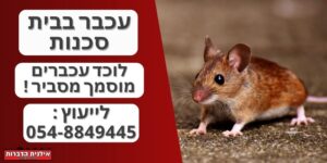 עכבר בבית סכנות