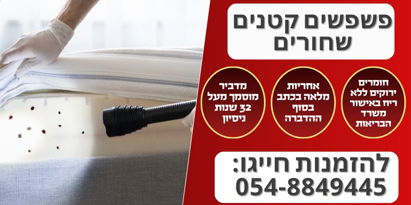 פשפשים קטנים שחורים