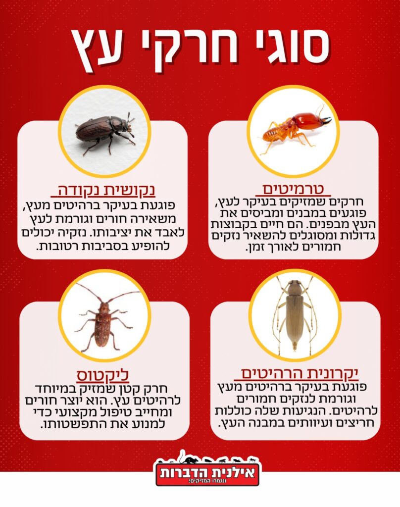 סוגי חרקי עץ